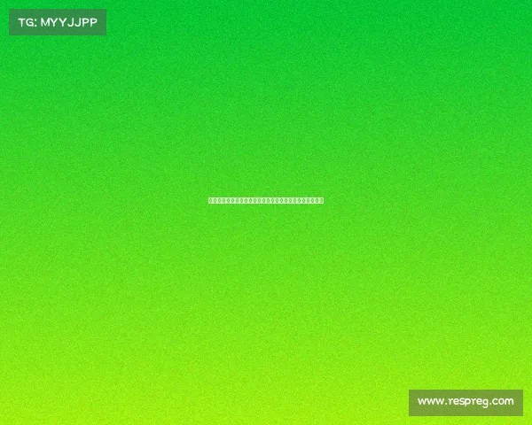 巴西圣保罗电子竞技《南美电竞风暴：圣保罗的巅峰对决》