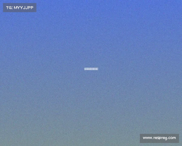 镭射狗音乐版权购买 镭射狗音乐版权购买